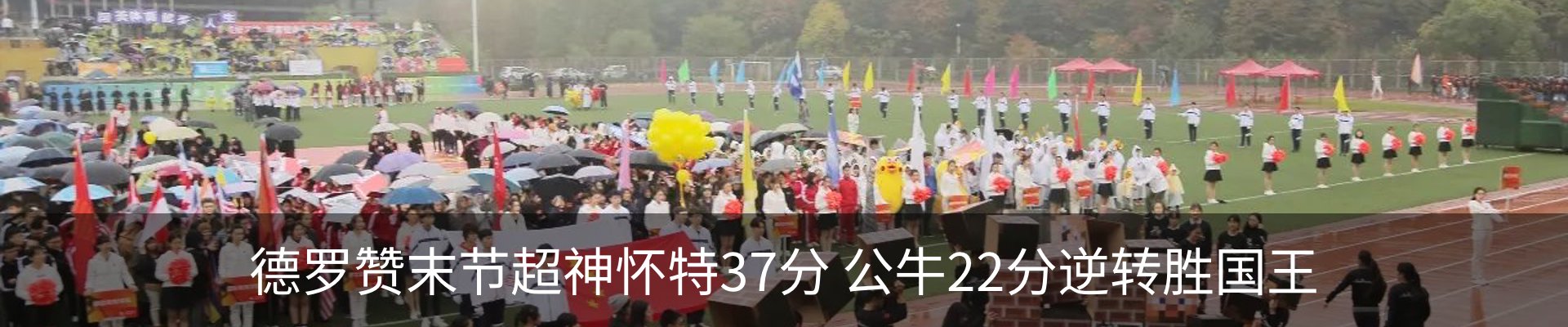 新闻动态