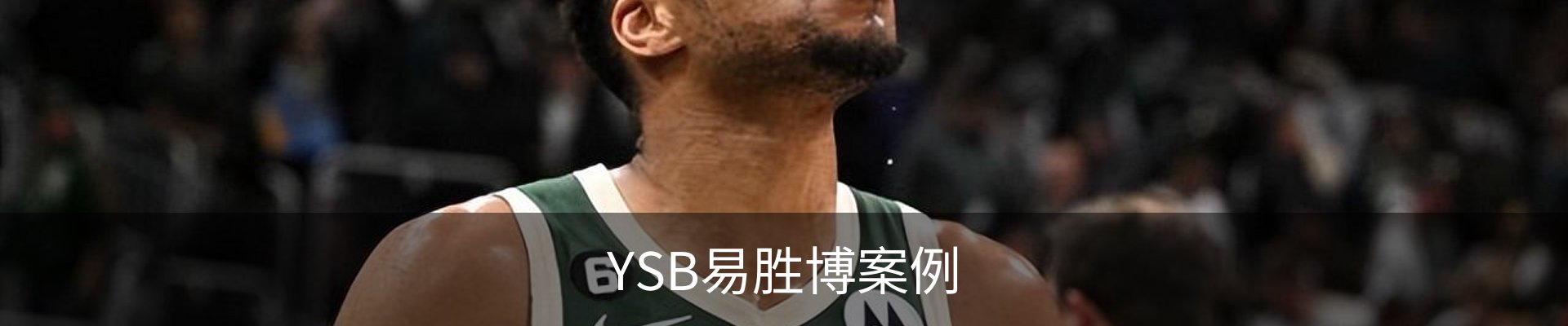 YSB易胜博案例